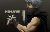 image for /games/ninjas/ for iphone