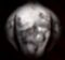 image for Stoneskin