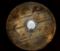 image for Wooden Shield